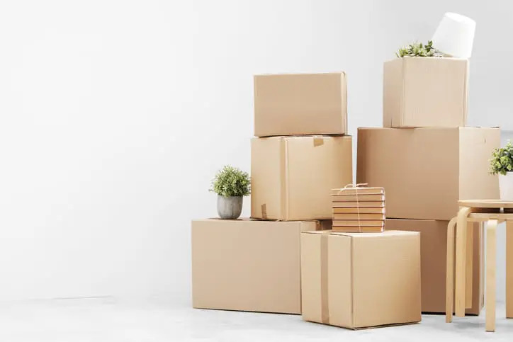 Sustainable Moving: Eco-Friendly Practices for International Relocations